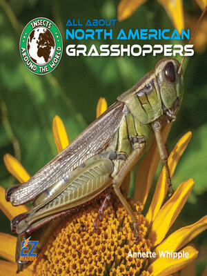 cover image of All About North American Grasshoppers